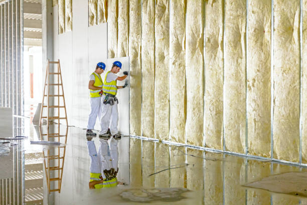 Best Eco-Friendly Insulation in Taos, NM